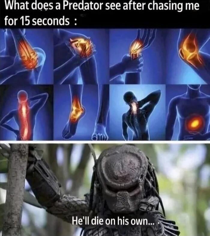 What does a Predator see after chasing me for 15 seconds :

[Image collage of the Predator being injured]

He's'll die on his own...