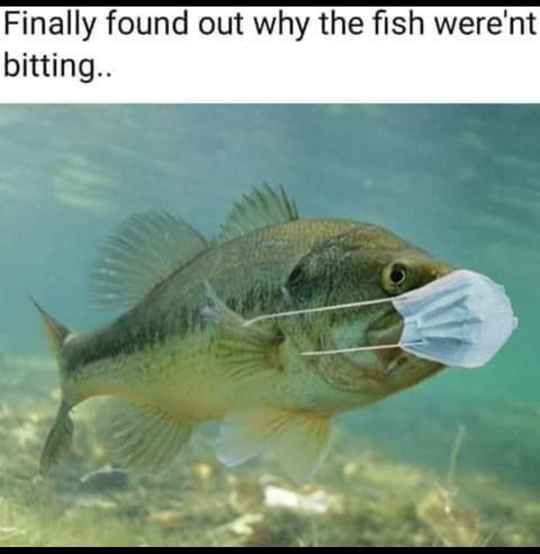 Finally found out why the fish werent bitting