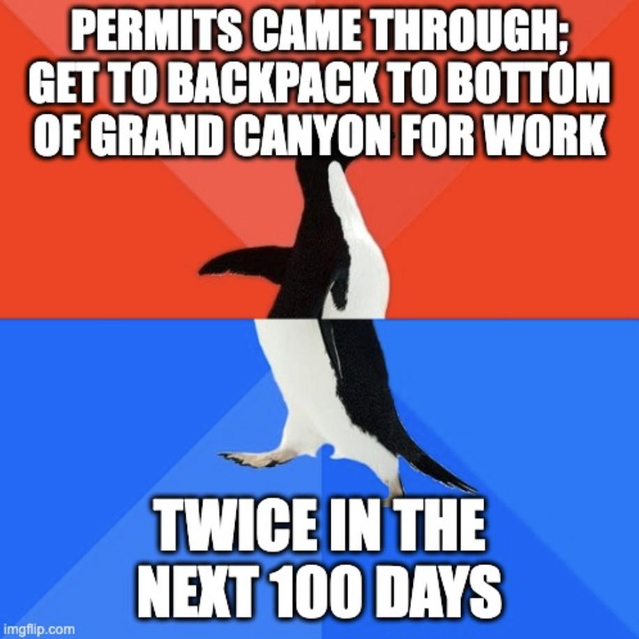 T T GETTO BACKPACKTO BOTTOM OF GRAND CANYON FOR WORK TWICE IN THE NEXT 100 DAYS pcom