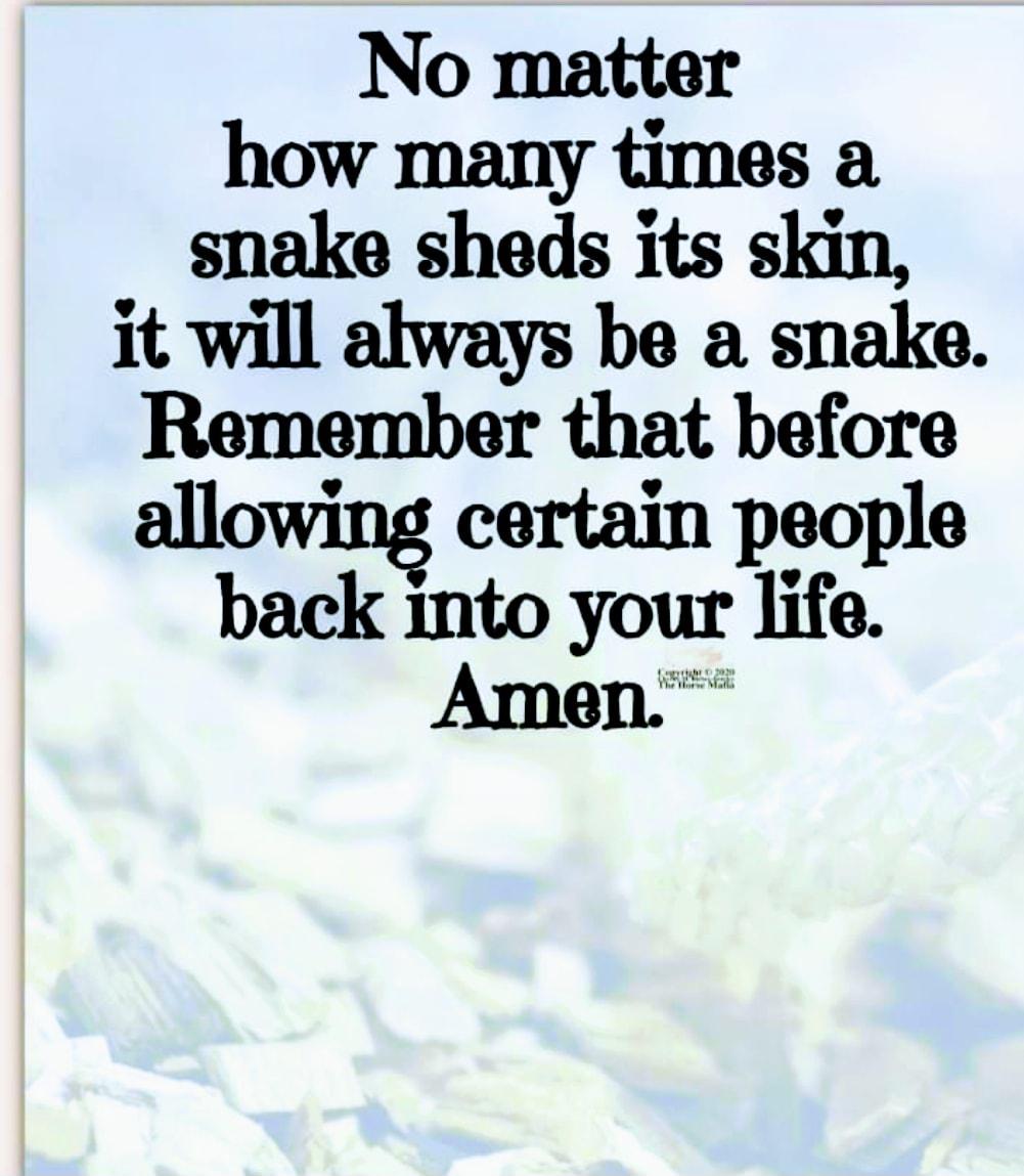 No matter how many times a snake sheds its skin itWl always be a SIlake Remember that before alowing certain people back nto your ife Amen