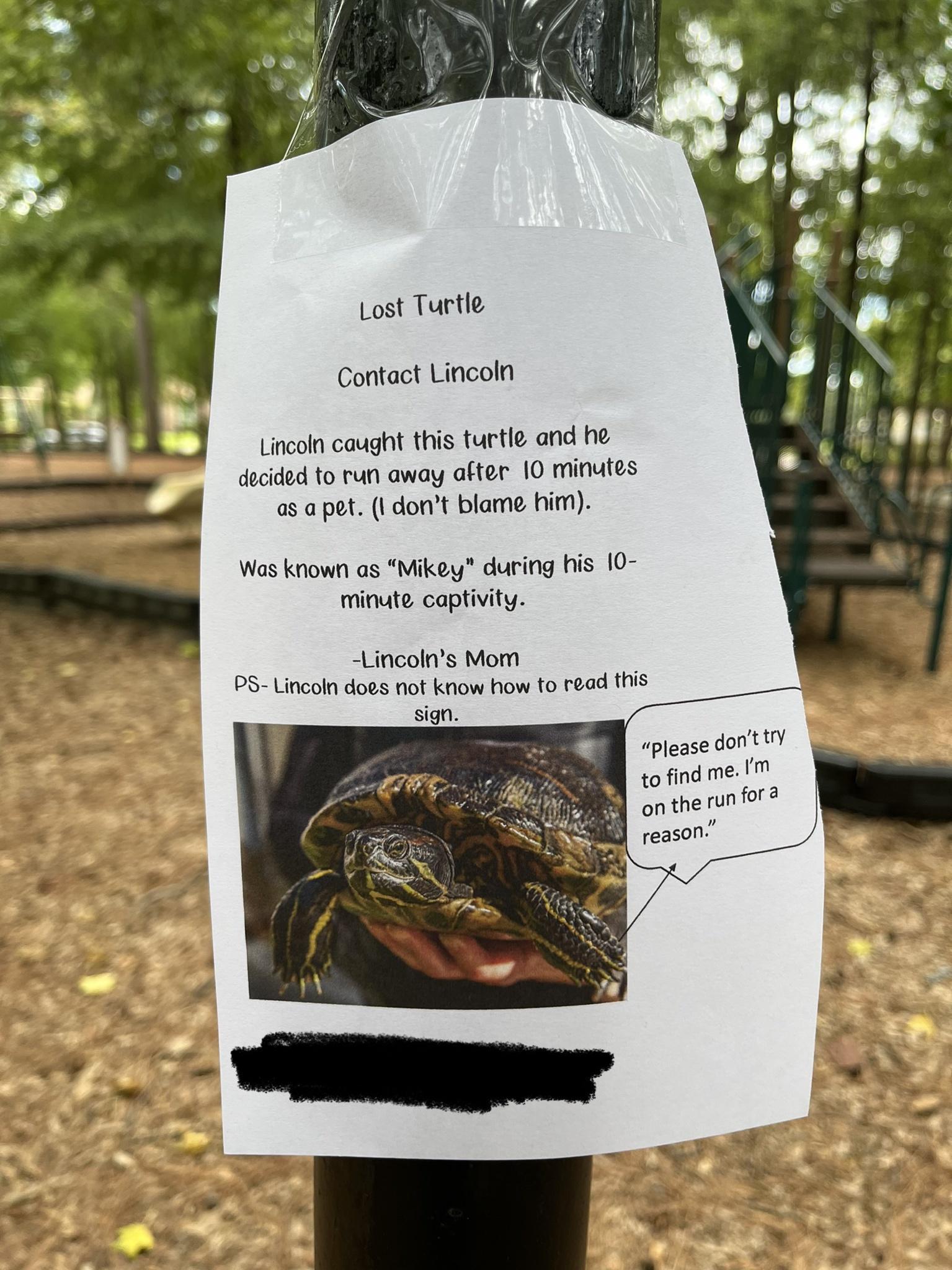 Lost Turtle Contact Lincoln Licoln caught this turtle and he dhcided to run away after 10 mintes s apet dont blame him Wos known as Mikey during his 10 minute coptivty Lincolns Mom PS Lincoln does ol know how to read e pleasedort tofind me o therunfor