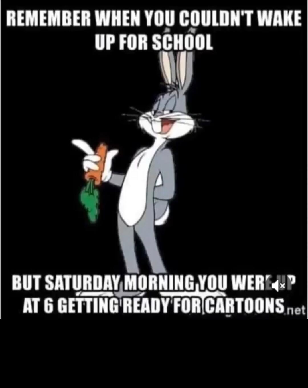 REMEMBER WHEN YOU COULDN'T WAKE UP FOR SCHOOL BUT SATURDAY MORNING YOU WERE UP AT 6 GETTING READY FOR CARTOONS.