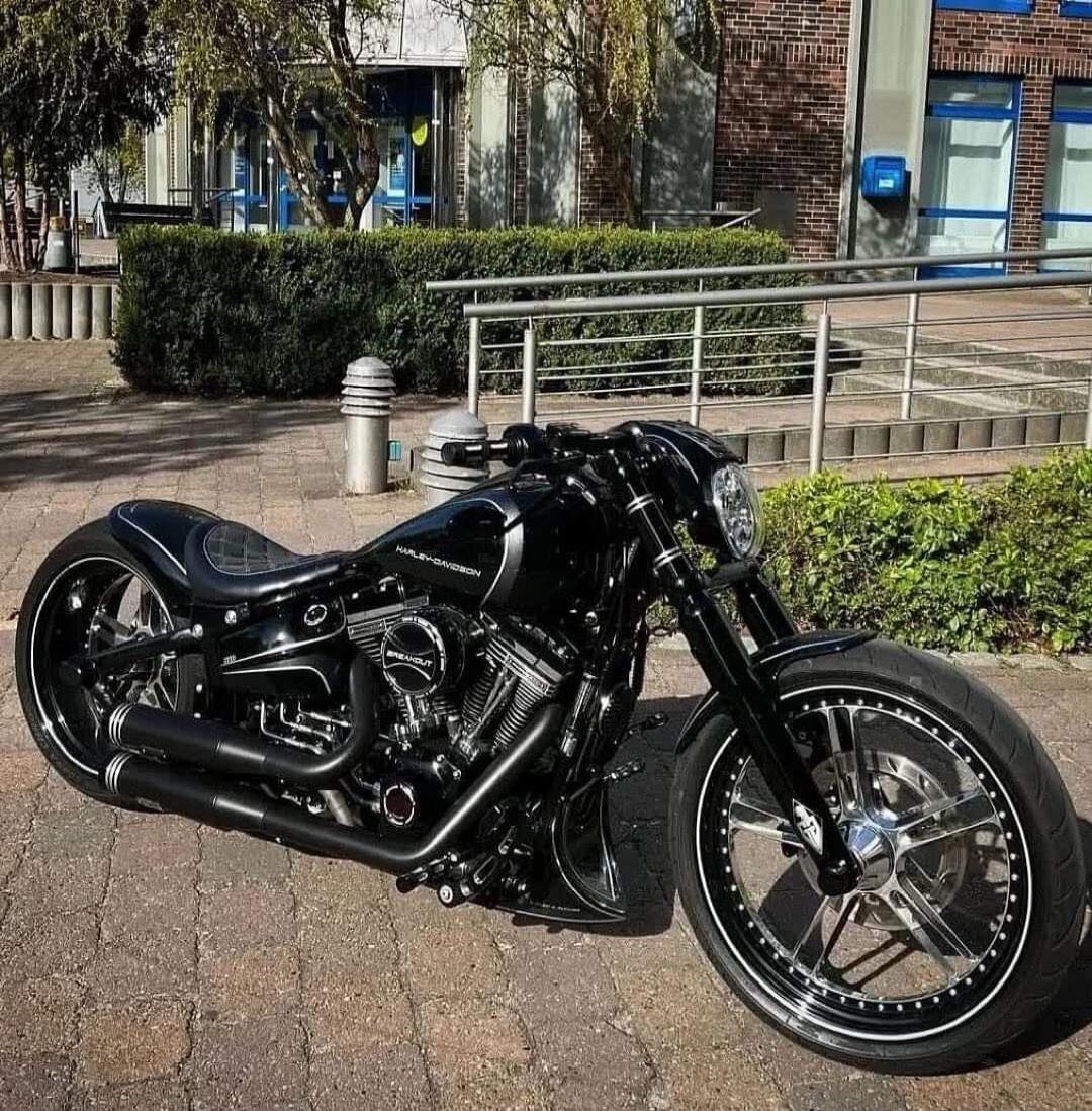 HARLEY-DAVIDSON BREAKOUT