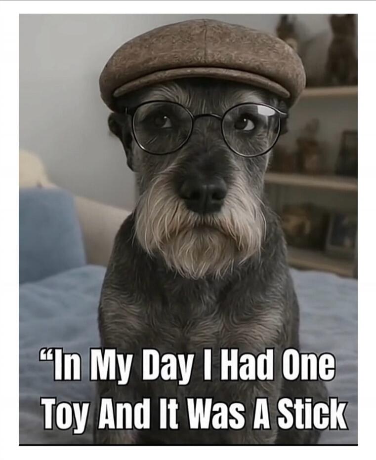 In My Day I Had One Toy And It Was A Stick