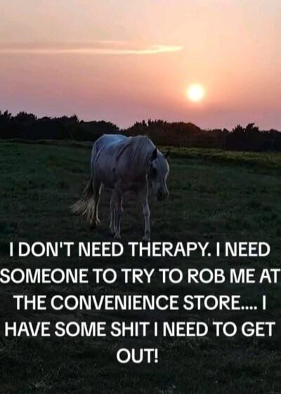 I DON'T NEED THERAPY. I NEED SOMEONE TO TRY TO ROB ME AT THE CONVENIENCE STORE.... I HAVE SOME SHIT I NEED TO GET OUT!