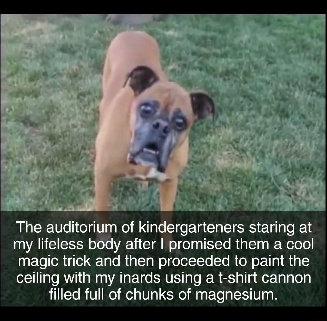 The auditorium of kindergarteners staring at my lifeless body after promised them a cool magic trick and then proceeded to paint the ceiling with my inards using a t shirt cannon filled full of chunks of magnesium