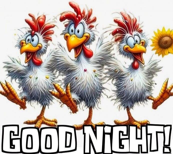 GOOD NIGHT!