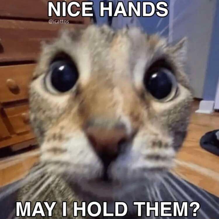 NICE HANDS MAY I HOLD THEM