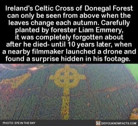 Irelands Celtic Cross of Donegal Forest can only be seen from above when the CEVERRS EN T ERE LT TS 111 ETTEL NVVE o T NET T TV it was completely forgotten about after he died until 10 years later when ELCEN ORI ETCTIE LI G F NG TG N found a surprise hidden in his footage
