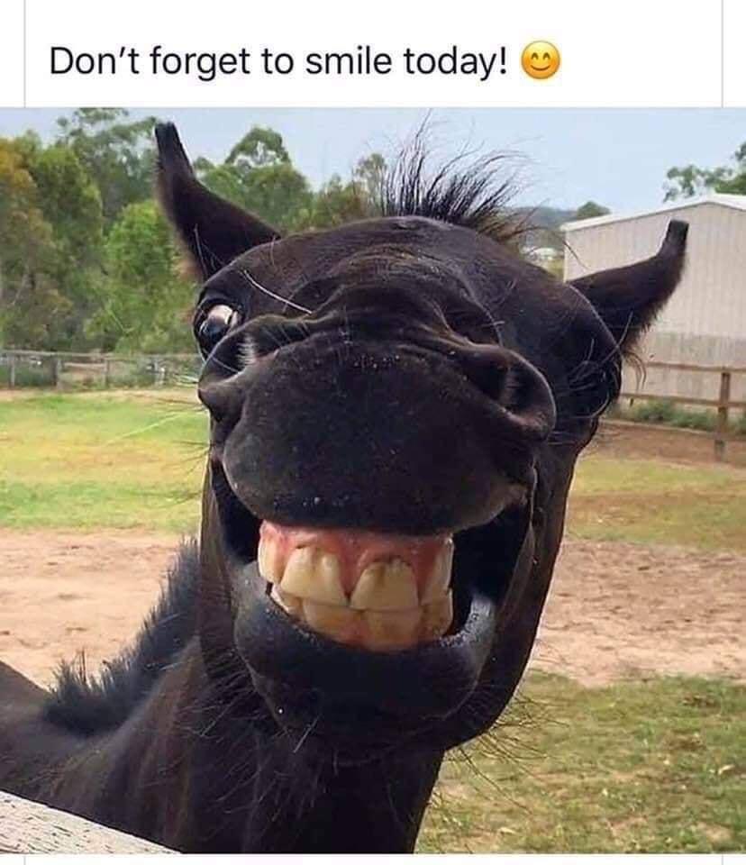 Dont forget to smile today