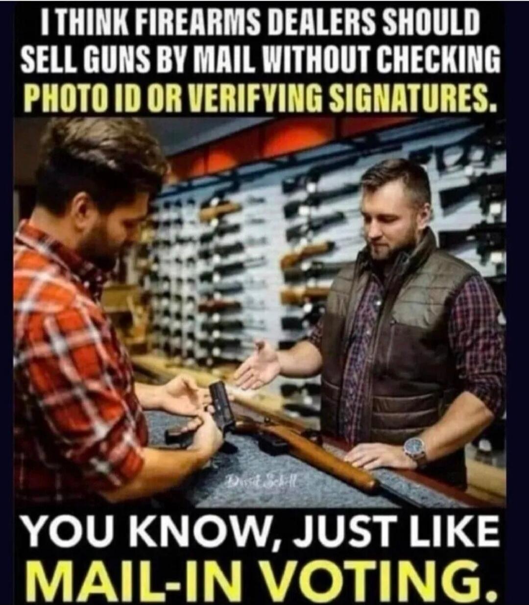 I THINK FIREARMS DEALERS SHOULD SELL GUNS BY MAIL WITHOUT CHECKING PHOTO ID OR VERIFYING SIGNATURES. YOU KNOW, JUST LIKE MAIL-IN VOTING.