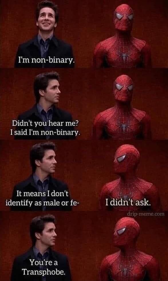 I'm non-binary. Didn't you hear me? I said I'm non-binary. It means I don't identify as male or fe- I didn't ask. You're a Transphobe.