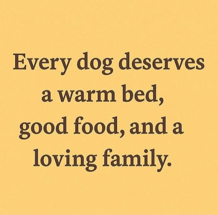 Every dog deserves a warm bed, good food, and a loving family.