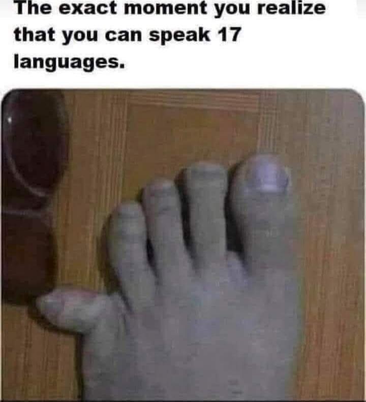 The exact moment you realize that you can speak 17 languages.