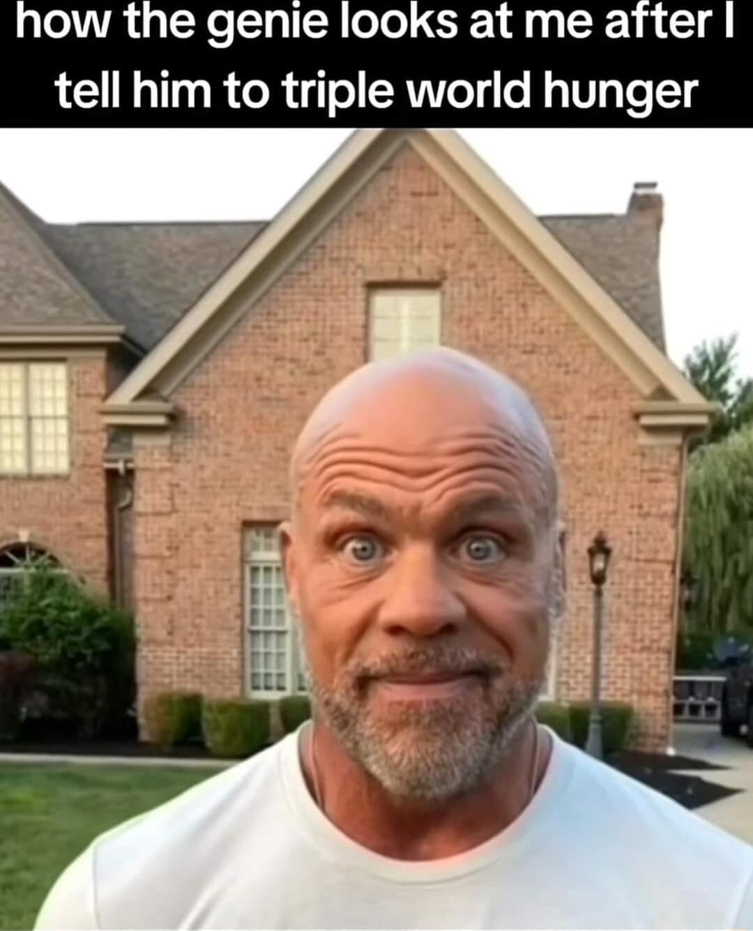 how the genie looks at me after tell him to triple world hunger