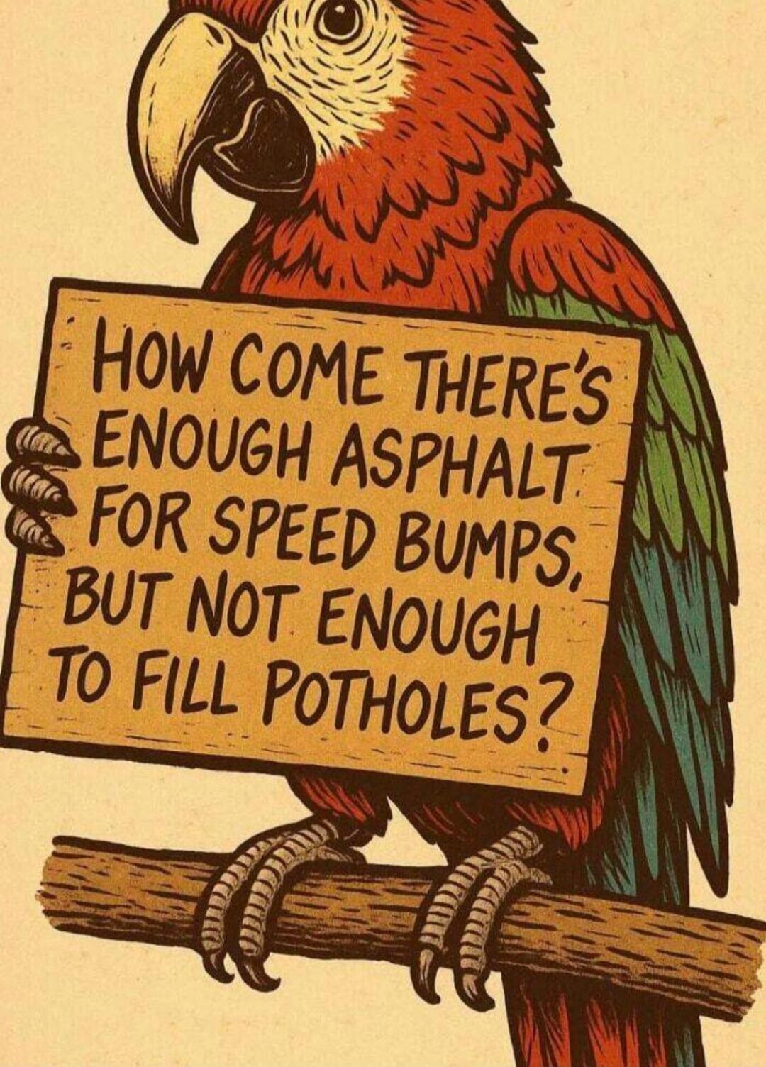 HOW COME THERE'S ENOUGH ASPHALT FOR SPEED BUMPS, BUT NOT ENOUGH TO FILL POTHOLES?