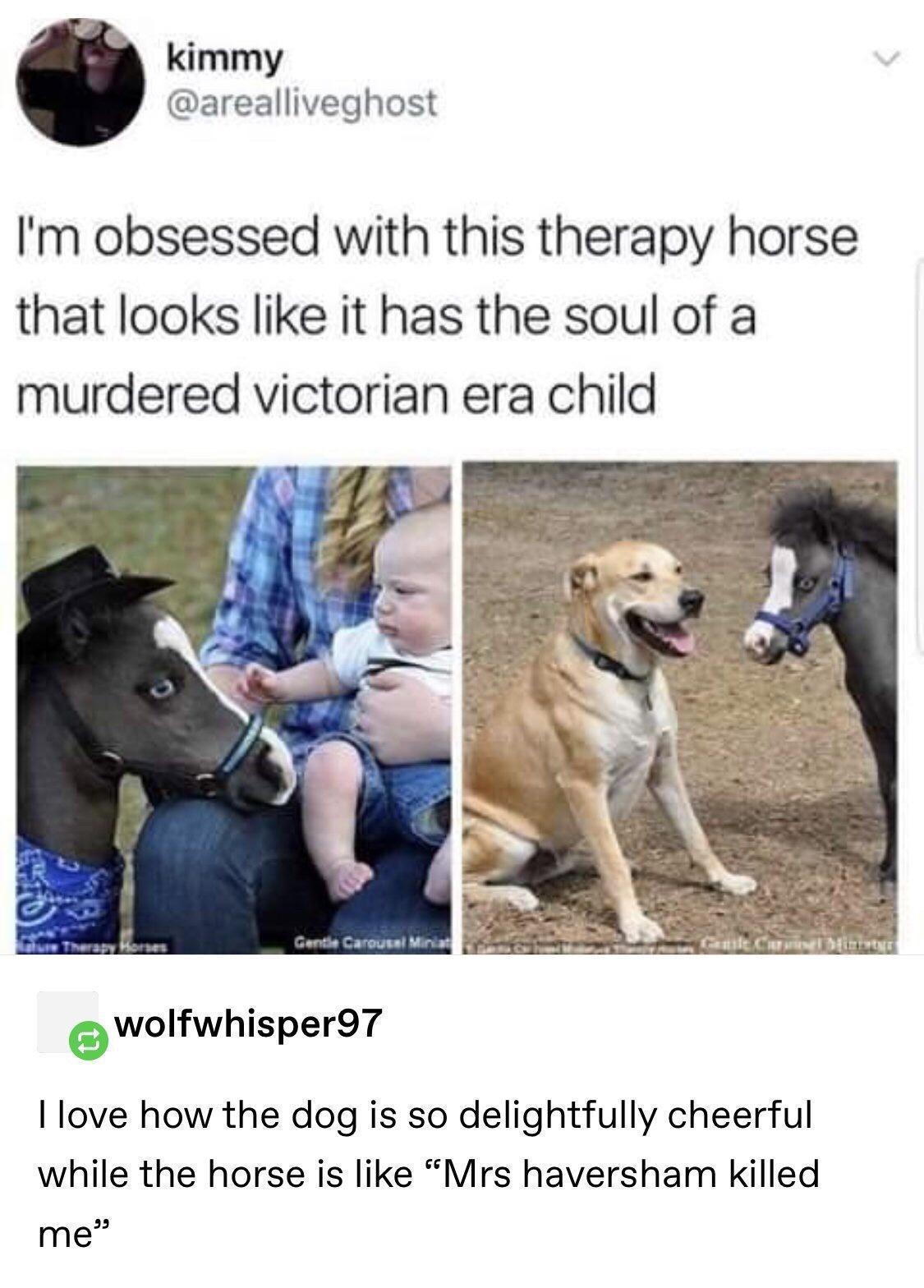 kimmy arealliveghost Im obsessed with this therapy horse that looks like it has the soul of a murdered victorian era child ewolfwhisperQT love how the dog is so delightfully cheerful while the horse is like Mrs haversham killed 3 me