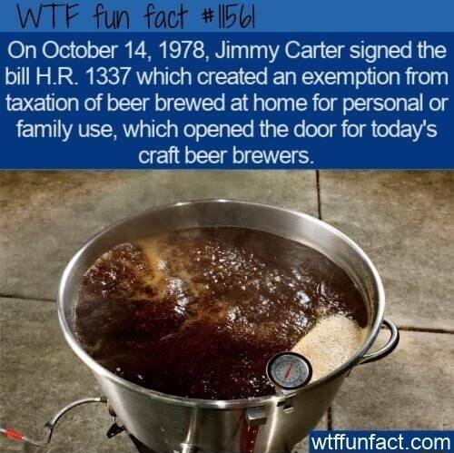 WTF fun fact Ibbl