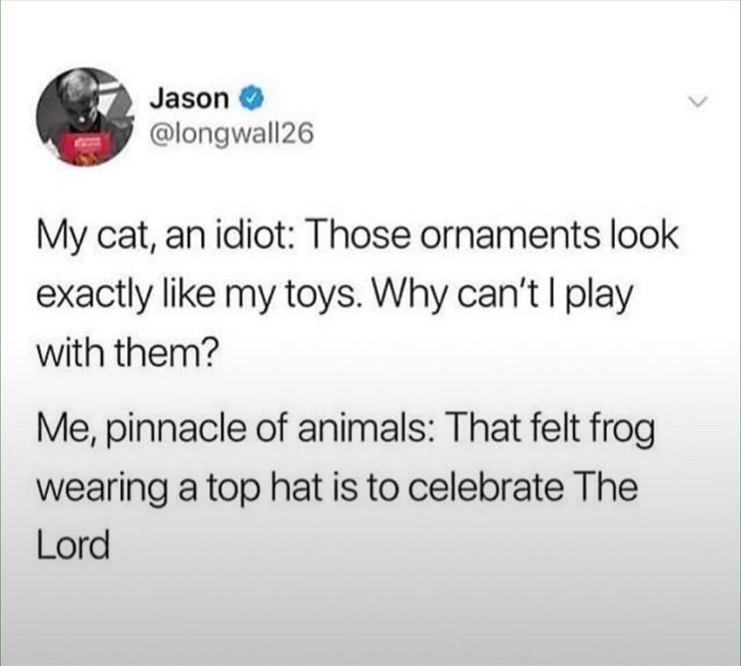 Jason longwall26 My cat an idiot Those ornaments look exactly like my toys Why cant play with them Me pinnacle of animals That felt frog wearing a top hat is to celebrate The Lord