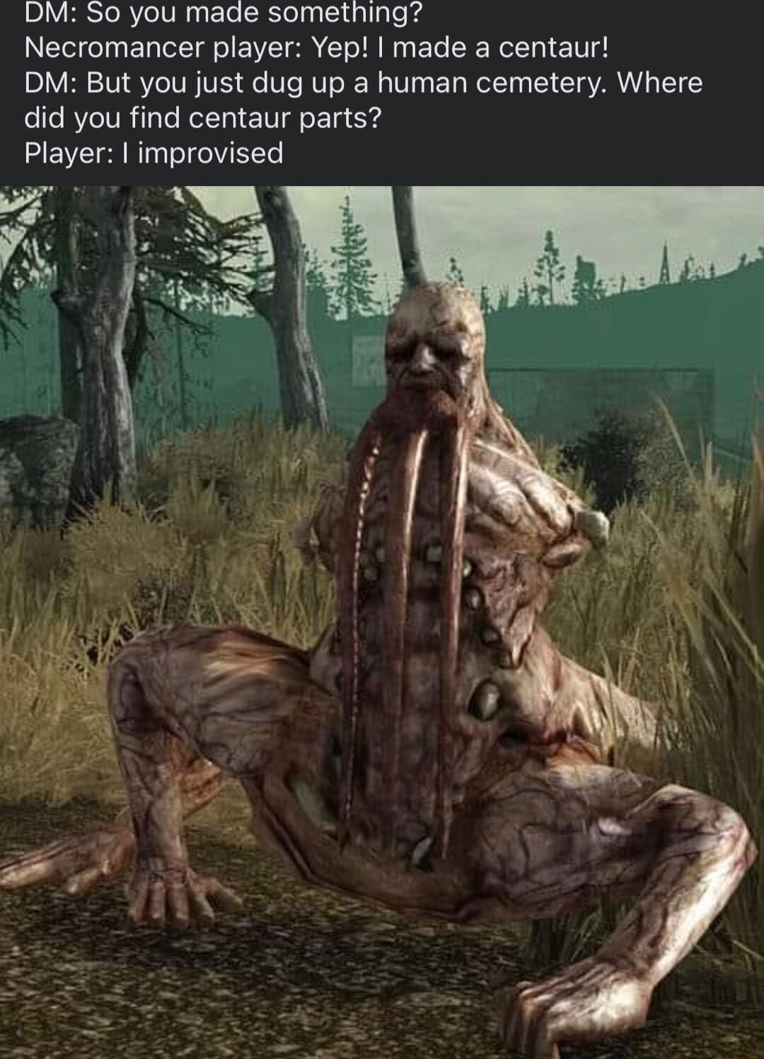 DM So you made something Necromancer player Yep made a centaur DM But you just dug up a human cemetery Where did you find centaur parts