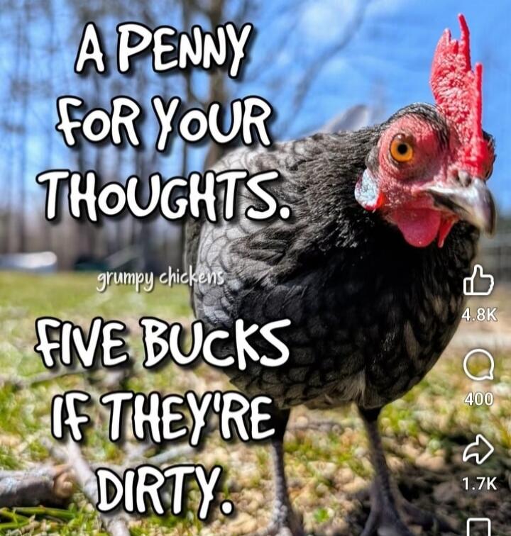 A PENNY FOR YOUR THOUGHTS. grumpy chickens FIVE BUCKS IF THEY'RE DIRTY.