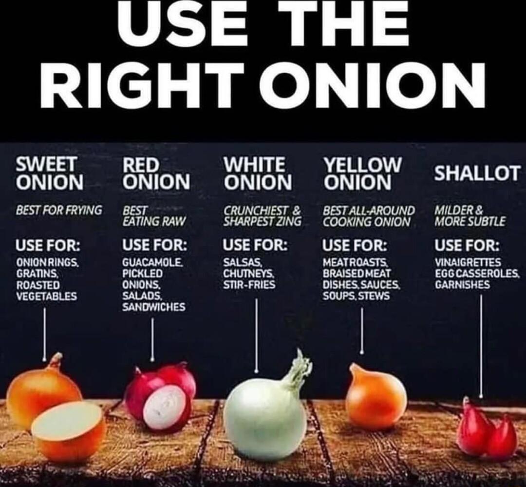 USE THE cl pel o 3 TS WHITE YELLOW ONION ONION ONION ONION SHALLOT sesronsmG ges Gunouers sTALMOUD DS Bhon SSITE ETALEML MR Sen USEFOR USEFOR USEFOR USEFOR USEFOR OwONANGS GUCMOLE sasis MEATRGSTS vawwRETIES GRS fry Sumiers DRASEDMEAT ECOCASSEROLES RoASTED Ouois OSMESSACES GARMSHES Voemeies SALADS SouPs STEWS