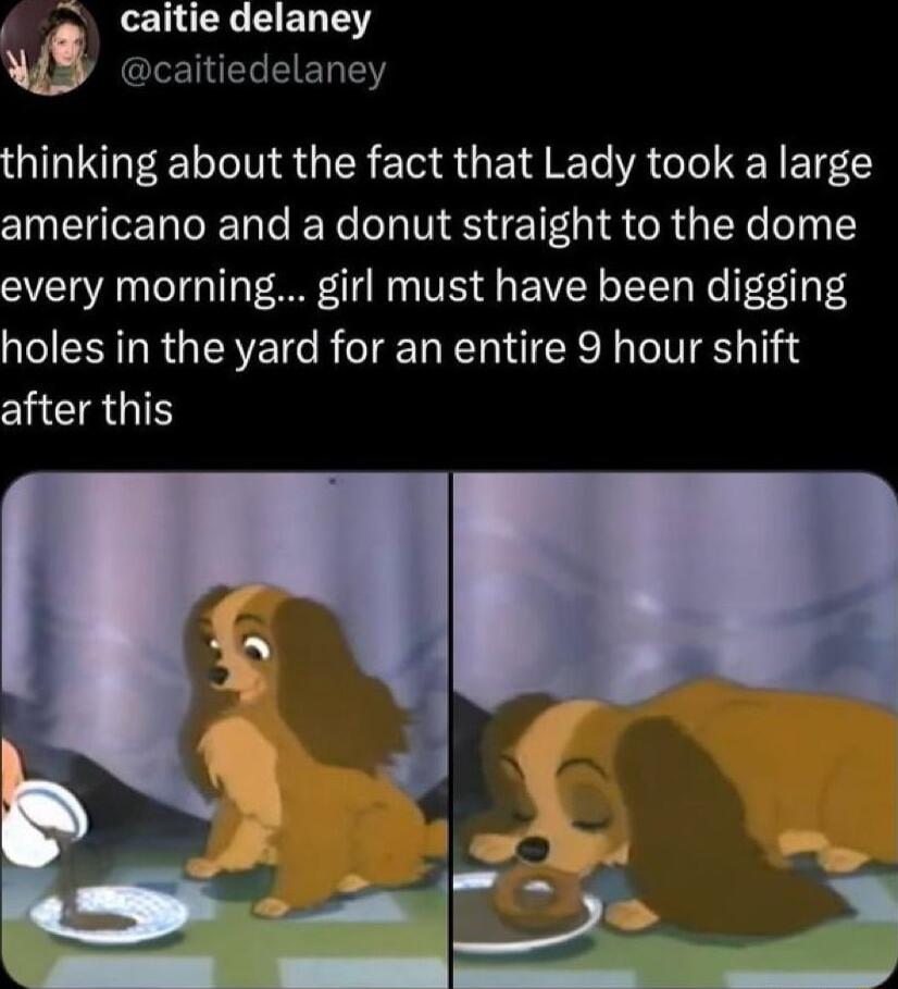 _ caitie delaney st CLENELEEREY thinking about the fact that Lady took a large americano and a donut straight to the dome every morning girl must have been digging holes in the yard for an entire 9 hour shift CHEIRGIH