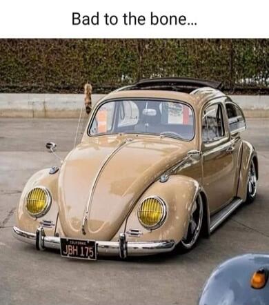 Bad to the bone...
JBH 175