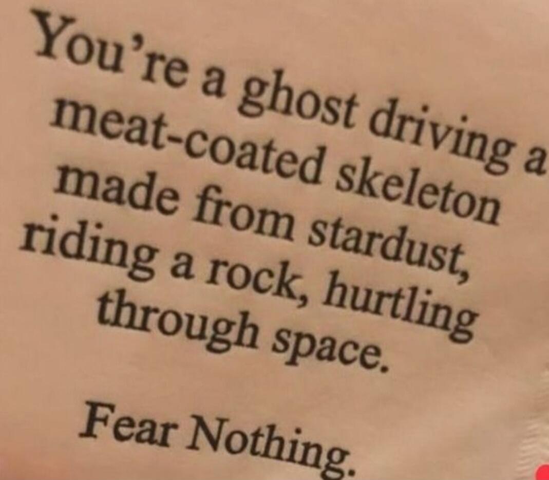 You're a ghost driving a meat-coated skeleton made from stardust, riding a rock, hurtling through space. Fear Nothing.