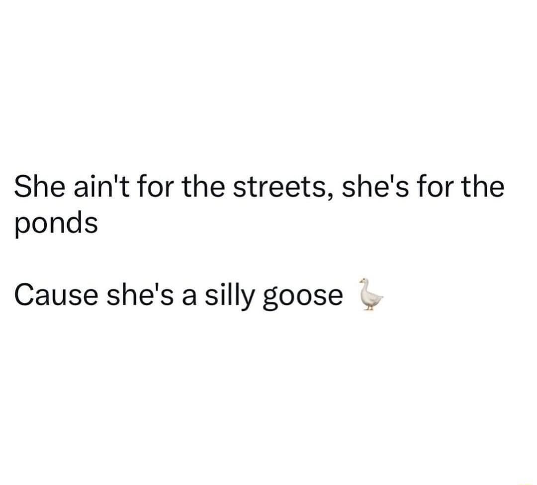 She aint for the streets shes for the ponds Cause shes asilly goose