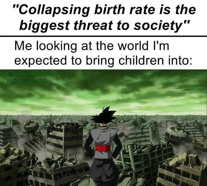 Collapsing birth rate is the biggest threat to society Me looking at the world Im expected to bring children into