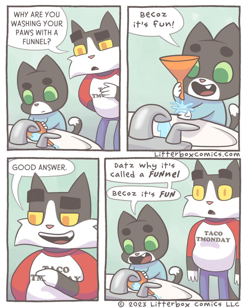 WHY ARE YOU WASHING YOUR PAWS WITH A FUNNEL e SWER batz why its alled a FuNnel