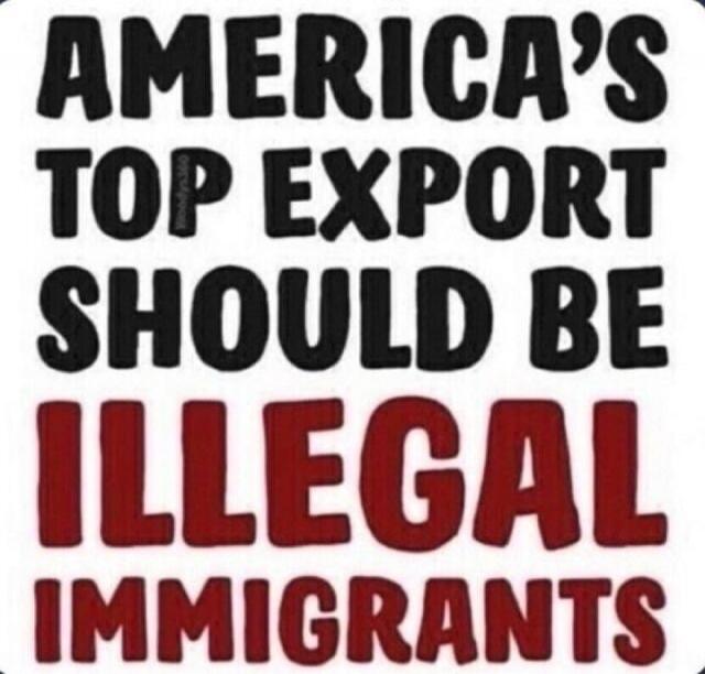AMERICA'S TOP EXPORT SHOULD BE ILLEGAL IMMIGRANTS