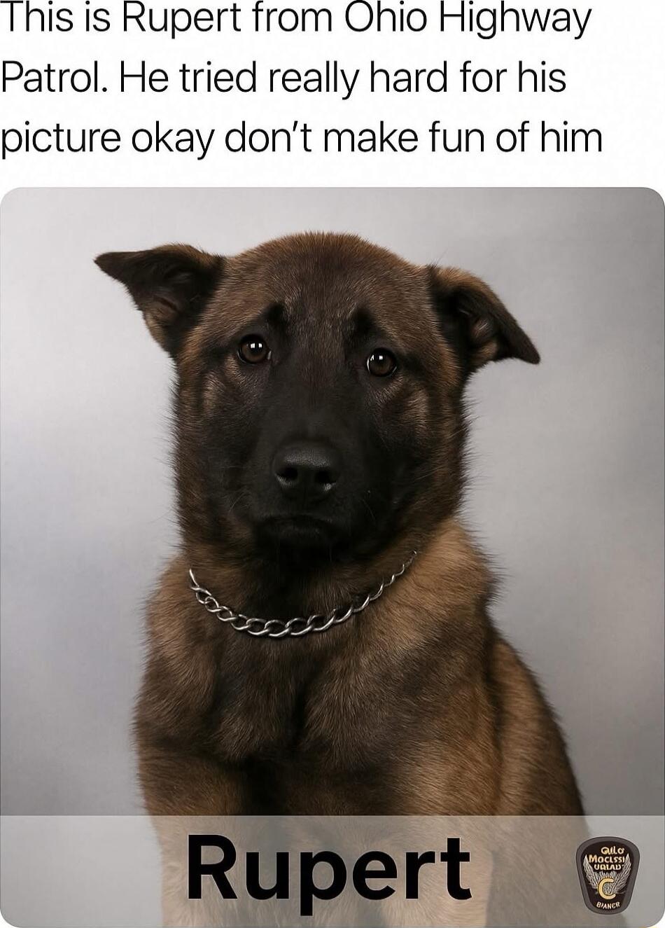 This is Rupert from Ohio Highway Patrol. He tried really hard for his picture okay don’t make fun of him

Rupert