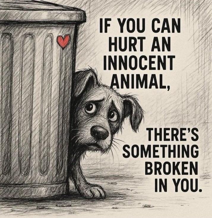 If you can hurt an innocent animal, there’s something broken in you.