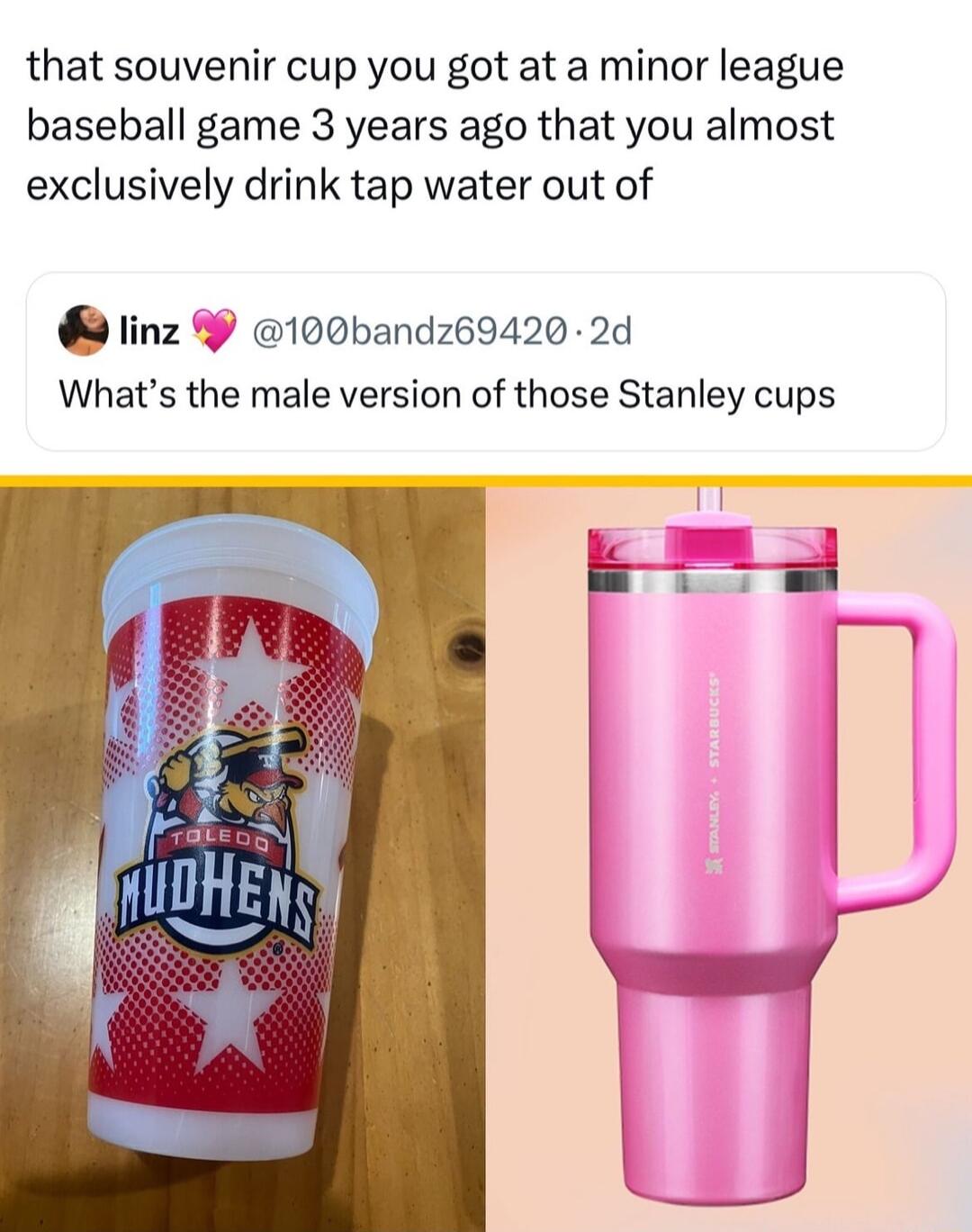 that souvenir cup you got at a minor league baseball game 3 years ago that you almost exclusively drink tap water out of linz 100bandz69420 2d Whats the male version of those Stanley cups