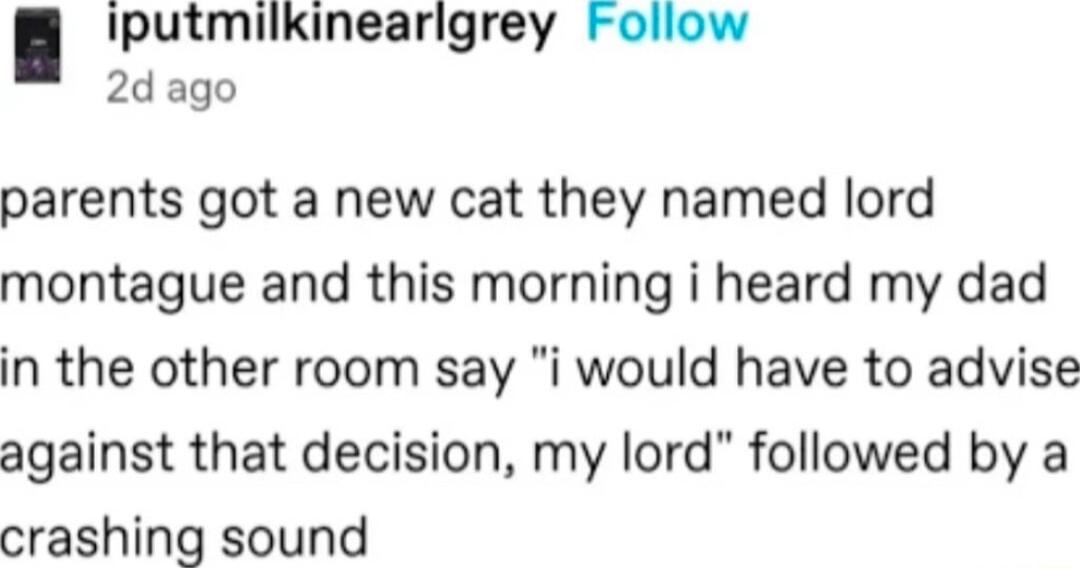 iputmilkinearigrey Follow 2d ago parents got a new cat they named lord montague and this morning i heard my dad in the other room say i would have to advise against that decision my lord followed by a crashing sound