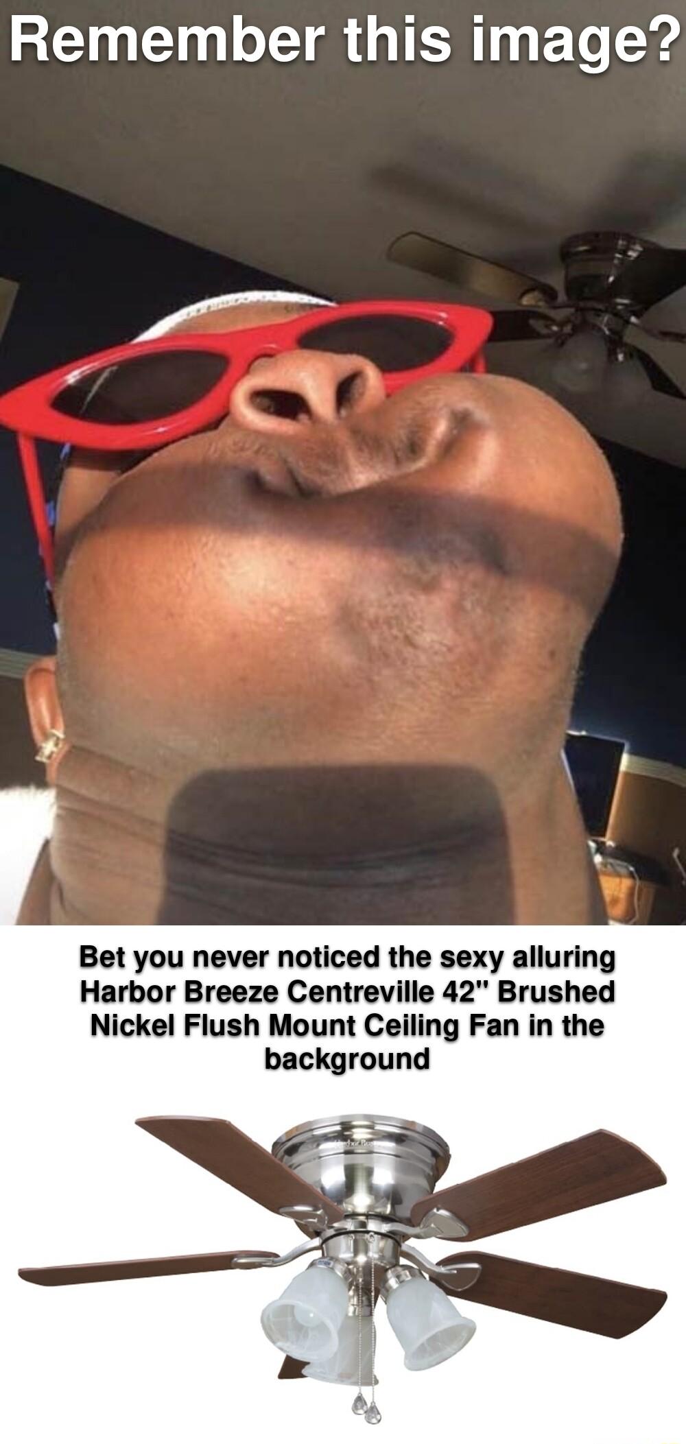 Remember this image Bet you never noticed the sexy alluring Harbor Breeze Centreville 42 Brushed Nickel Flush Mount Ceiling Fan in the background