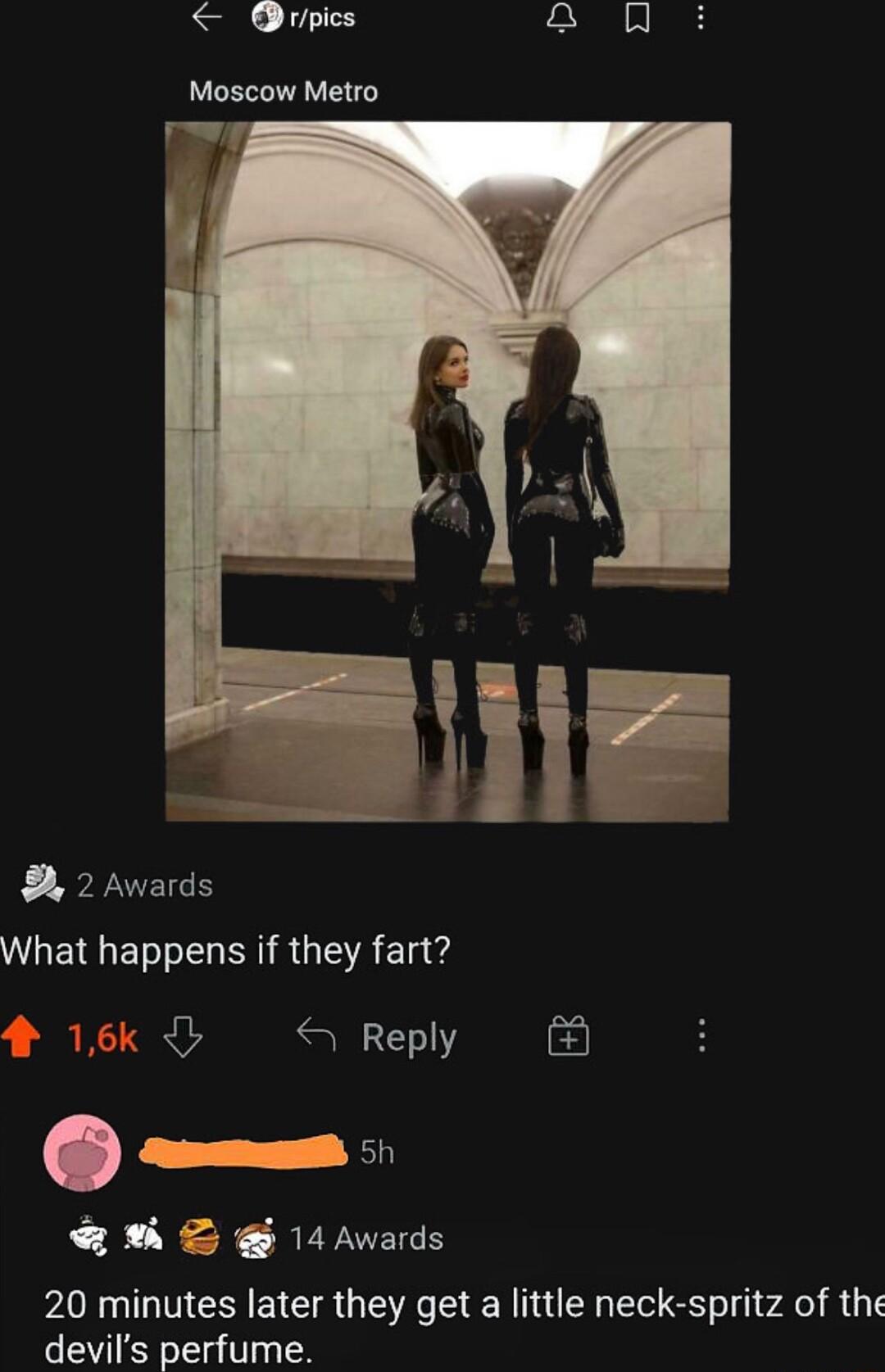 Qrpics a Moscow Metro 2 Awards What happens if they fart 5 Reply anemml 5h S 14Avards 20 minutes later they get a little neck spritz of the devils perfume