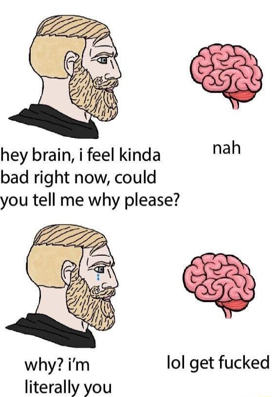 hey brain i feel kinda bad right now could you tell me why please whyim lol get fucked literally you
