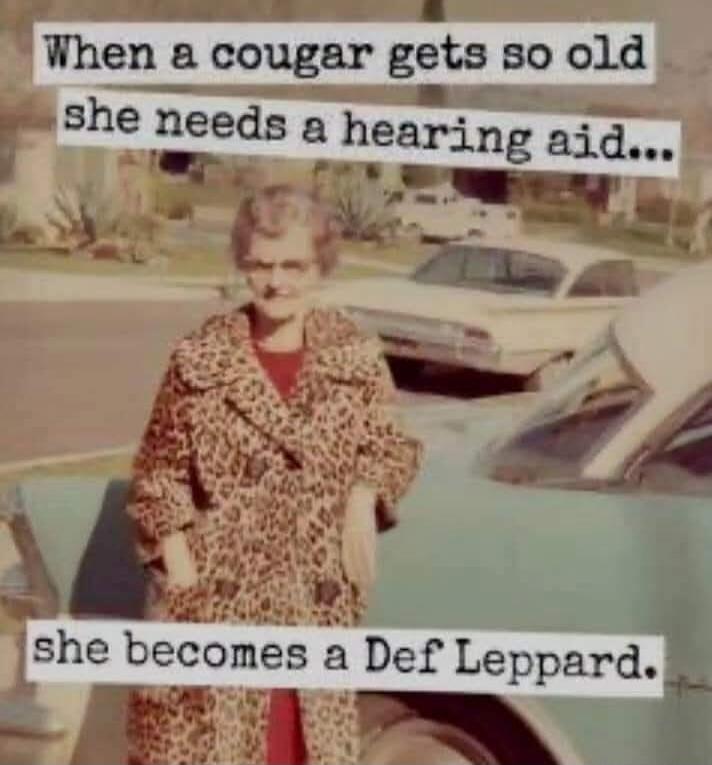 When a cougar gets so old she needs a hearing aid... she becomes a Def Leppard.