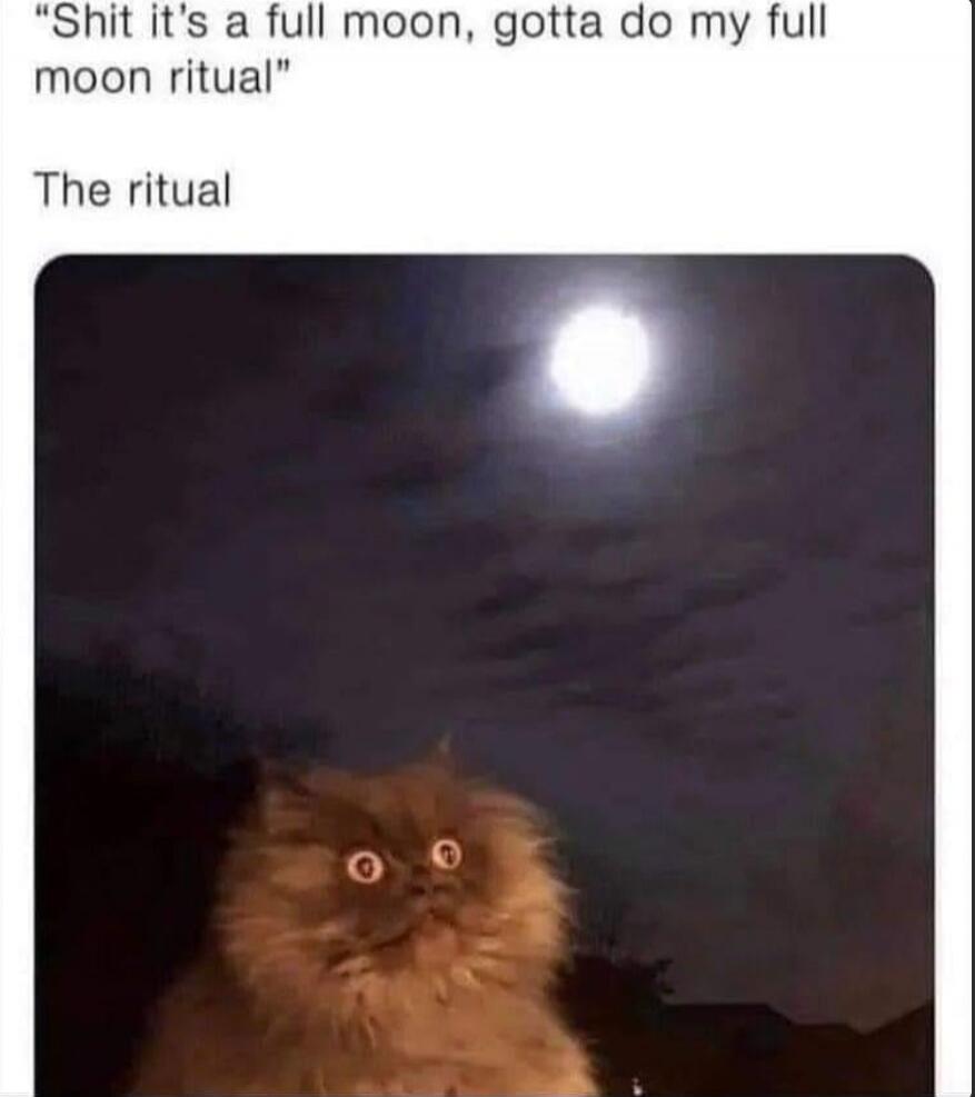 Shit it's a full moon, gotta do my full moon ritual. The ritual.