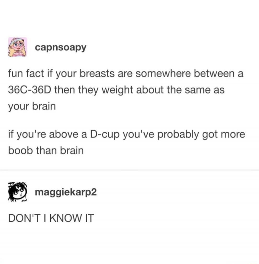 fun fact if your breasts are somewhere between a 36C-36D then they weight about the same as your brain

if you're above a D-cup you've probably got more boob than brain

DON'T I KNOW IT