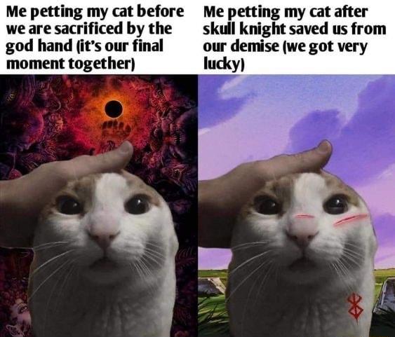 my cat before Me petting my cat after iced by the skull knight saved us from god hand its our final our demise we got very moment together lucky