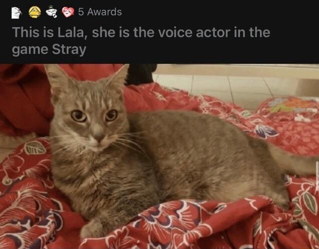 B sAvads This is Lala she is the voice actor in the EI IS Y