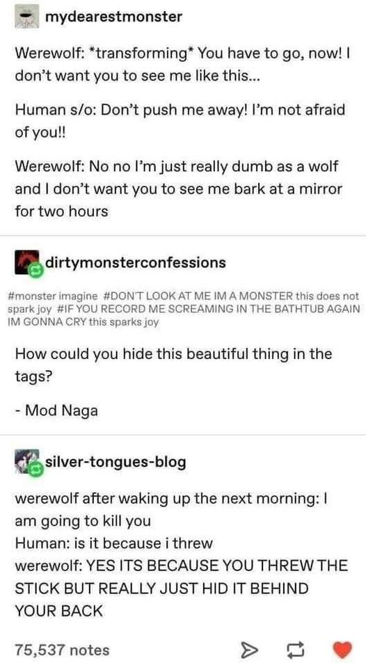 mydearestmonster Werewolf transforming You have to go now dont want you to see me like this Human so Dont push me away Im not afraid of you Werewolf No no Im just really dumb as a wolf and dont want you to see me bark at a mirror for two hours dinymonsterconfessiuns monster imagine DONT LOOK AT ME IM AMONSTER this does not spark joy IF YOU RECORD ME SCREAMING IN THE BATHTUB AGAIN IM GONNA CRY this