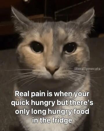 Real pain is when your quick hungry but there's only long hungry food in the fridge
