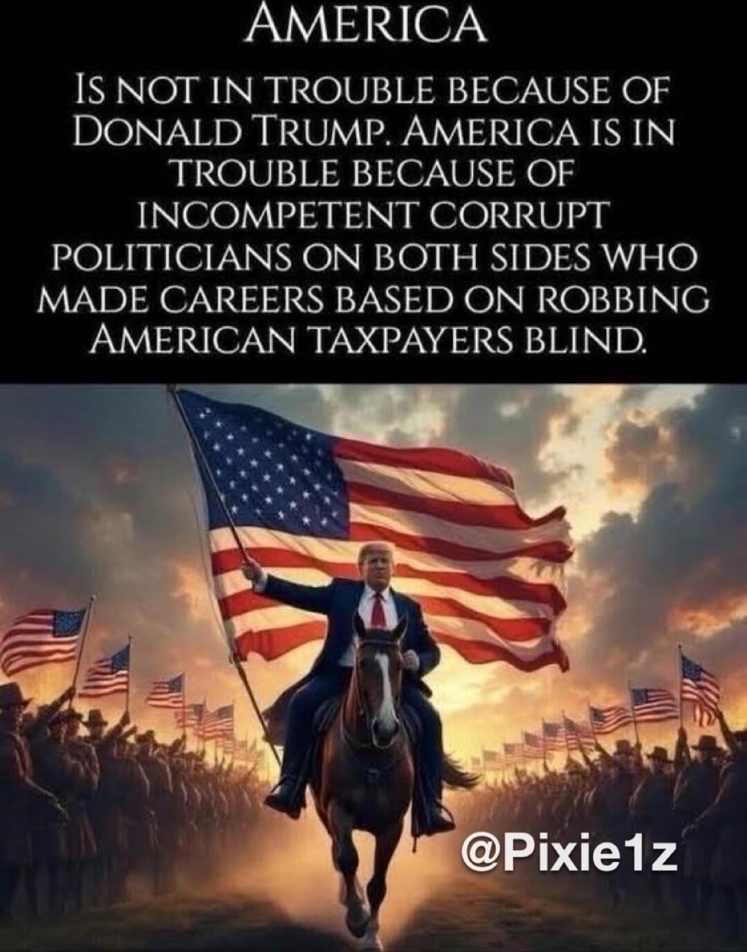 AMERICA IS NOT IN TROUBLE BECAUSE OF DONALD TRUMP. AMERICA IS IN TROUBLE BECAUSE OF INCOMPETENT CORRUPT POLITICIANS ON BOTH SIDES WHO MADE CAREERS BASED ON ROBBING AMERICAN TAXPAYERS BLIND.