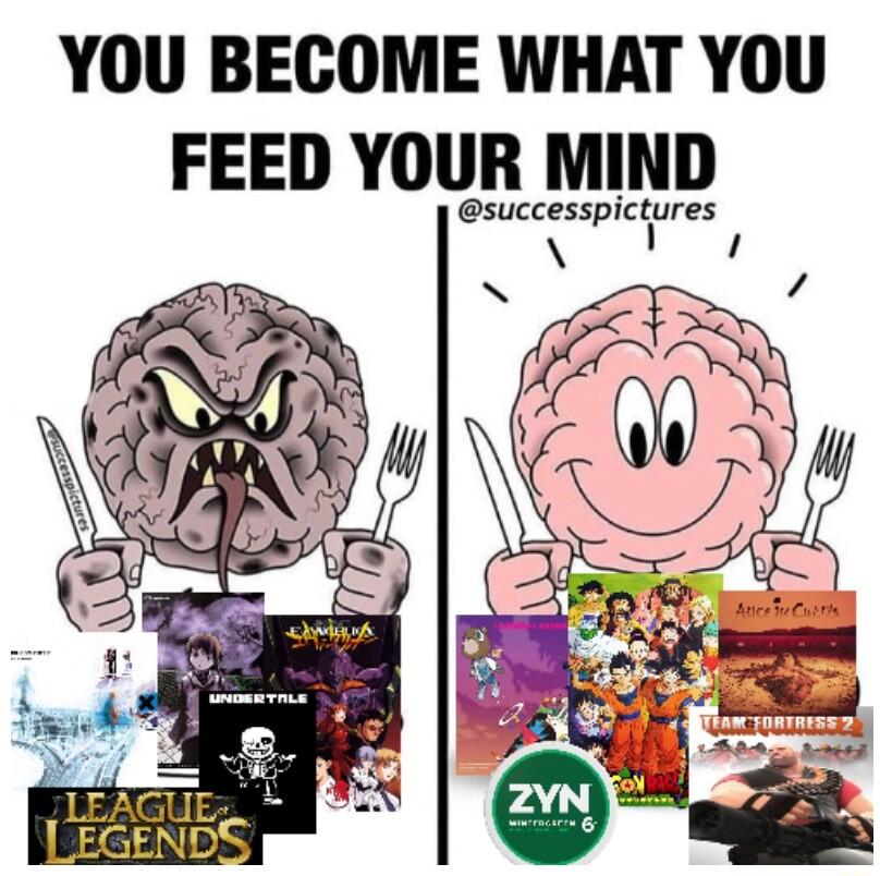 YOU BECOME WHAT YOU FEED YOUR MIND successpictures