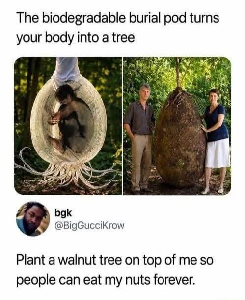 The biodegradable burial pod turns your body into a tree. Plant a walnut tree on top of me so people can eat my nuts forever.